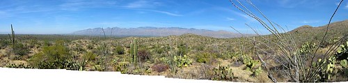 saguaro panorama copy