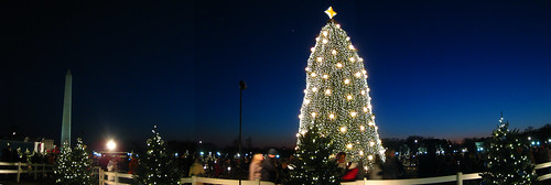Christmas Tree Panorama: White House