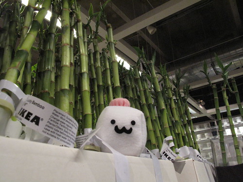 Tofu Baby's lucky day at Ikea!