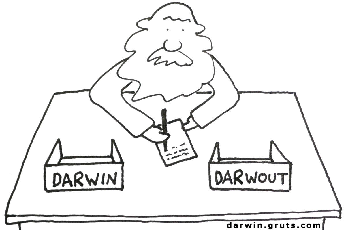 Darwin - Darwout