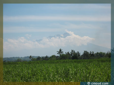 sugar cane plantation with Mt. Kanlaon at the background
