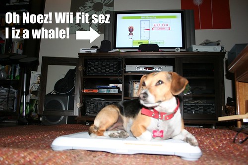 Wii Fit says my dog is a whale