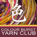 COLOUR BURST Yarn Club