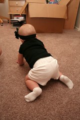 Almost Crawling!