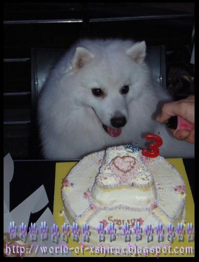 Shiro's 3rd Birthday