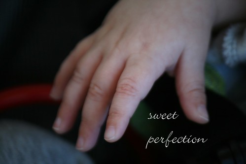 sweet perfection