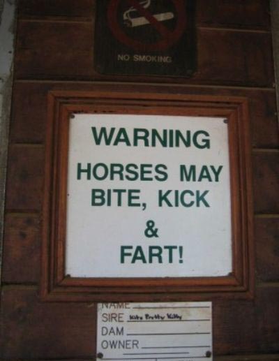 Horse_Warning