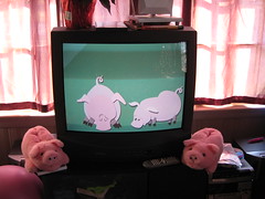 Pigs in two-dimensional and three-dimensional space