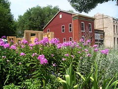 a neighborhood garden graces redevelopment work (image courtesy Old North St. Louis)