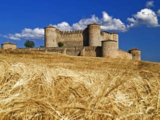 castillo almenar 2