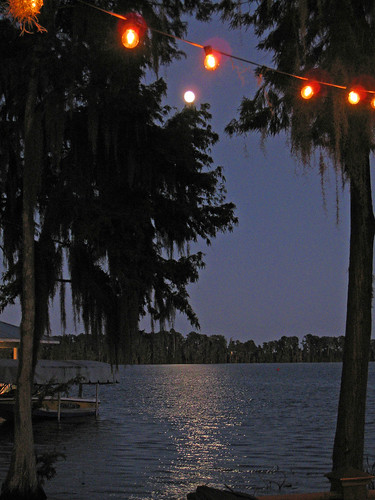 Lake and Moon with Party Lights