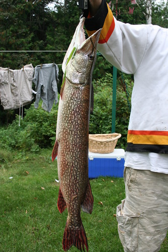 Mike's Pike