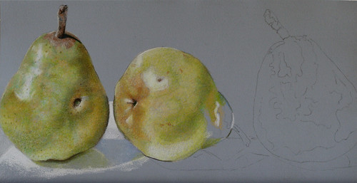 In progress photo of colored pencil drawing of three pears.