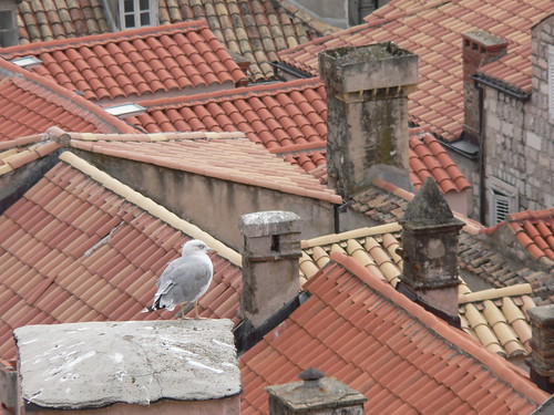 Red Roofs of Dubrovnik by lostajy, on Flickr