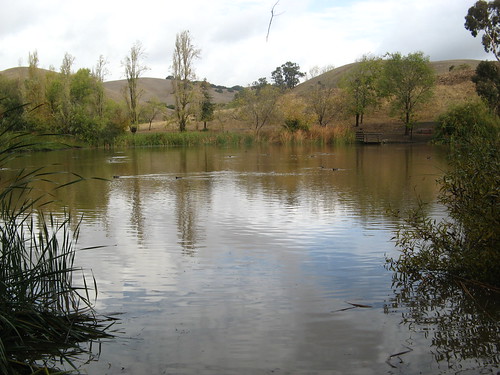 Big pond in the main area of Garin Park