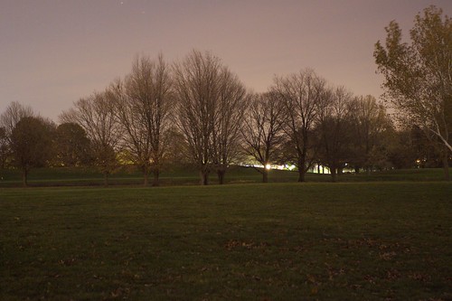 Trees at Arboretum at night