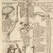 Anatomical_chart,_Cyclopaedia,_1728,_volume_1.2.jpg