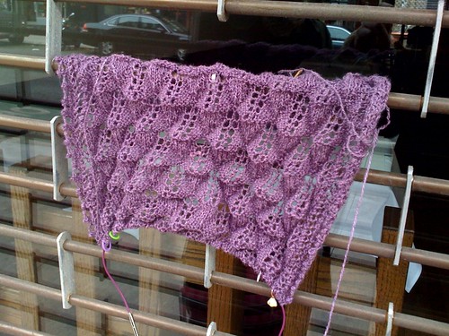 laurens shawl 120608