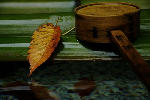 The Autumn of Murou-ji Temple