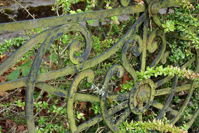 Iron Fence, Jewett Park