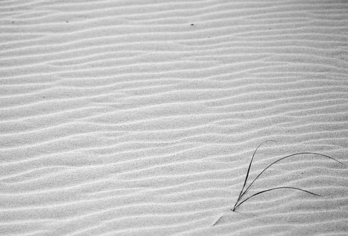 Grass and sand