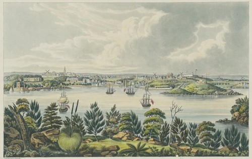North view of Sydney, New South Wales 1825 (Joseph Lycett)