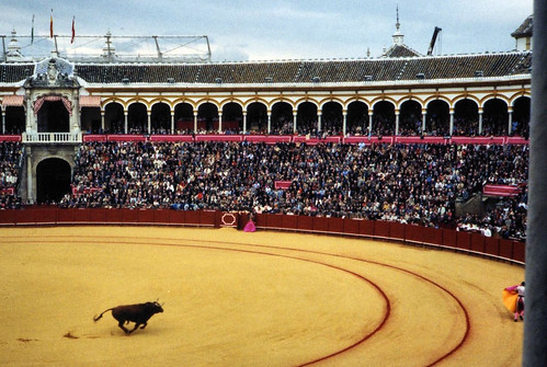 Bull.Seville1