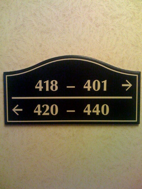 Room 419
