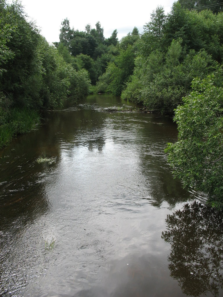 : Palata river