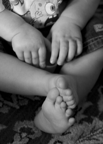 Toddler Hands and Feet