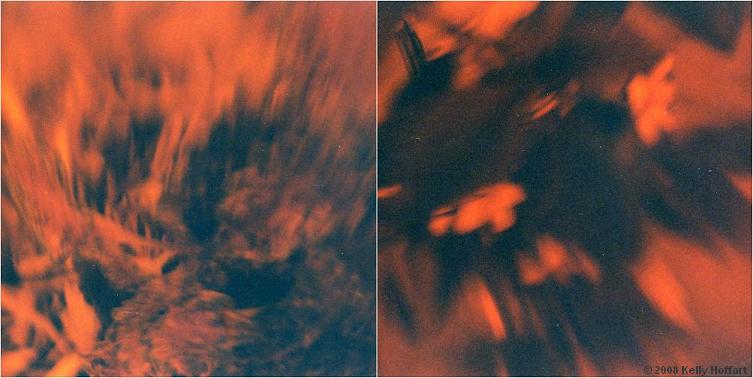 Abstract Redscale Diptych
