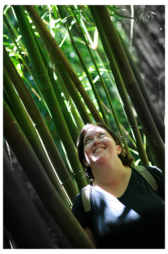 Joy in a bamboo heaven