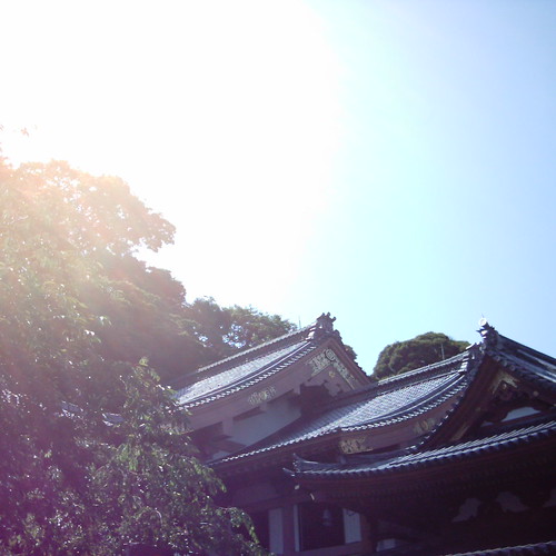 Sunshine [ Hase-dera / Kamakura ]