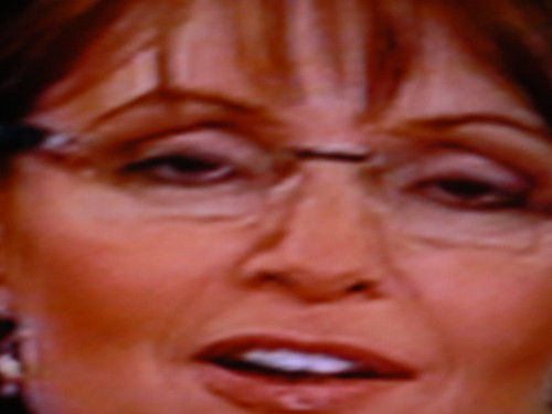 Sarah Palin 3