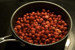 The Beginnings of Cranberry Sauce