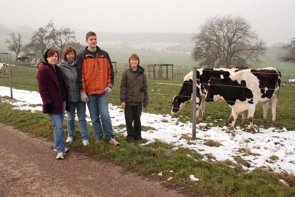 Flaxweiler Family and Cows