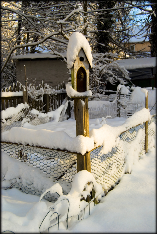 snowy-birdhouse