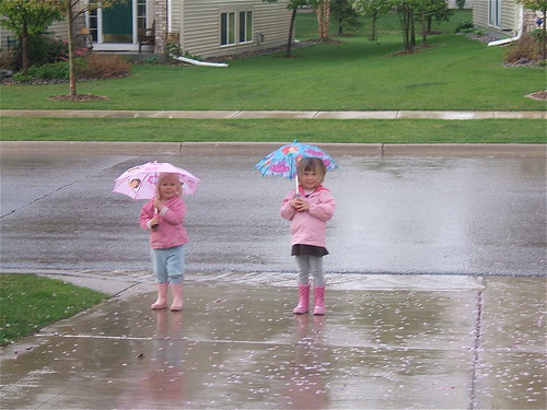 Rain Walkers