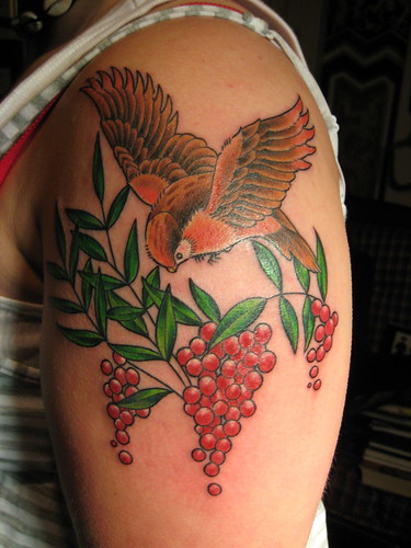 Bird and Berries