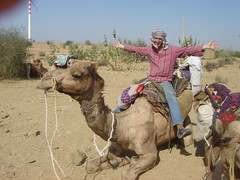 on a camel!
