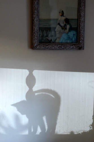renatta's shadow