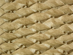 Pinecone tessellation, close-up