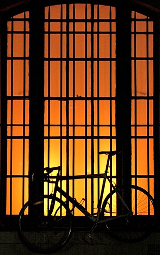 Bike silhouette