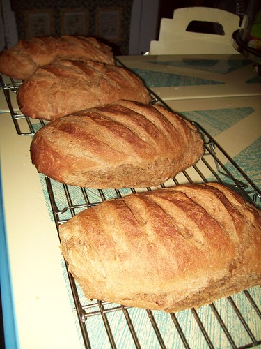 Rye Bread, Ready to eat