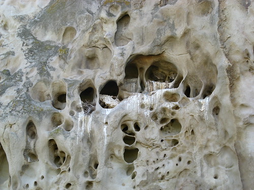 Tafoni formations like this are very common in the  Bay Area