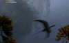 pterosaur flee