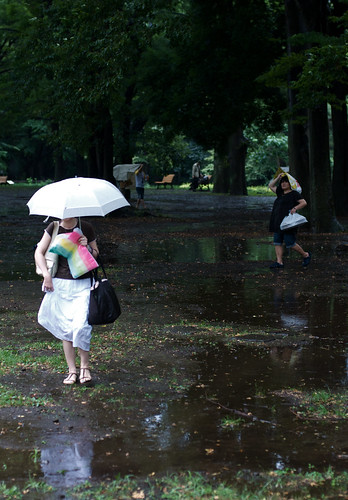 Rain in Yoyogi Park 05