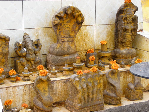 Kochi Cobra Shrine