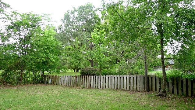 Cleared Privacy Fence