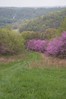 Our hill in the springtime